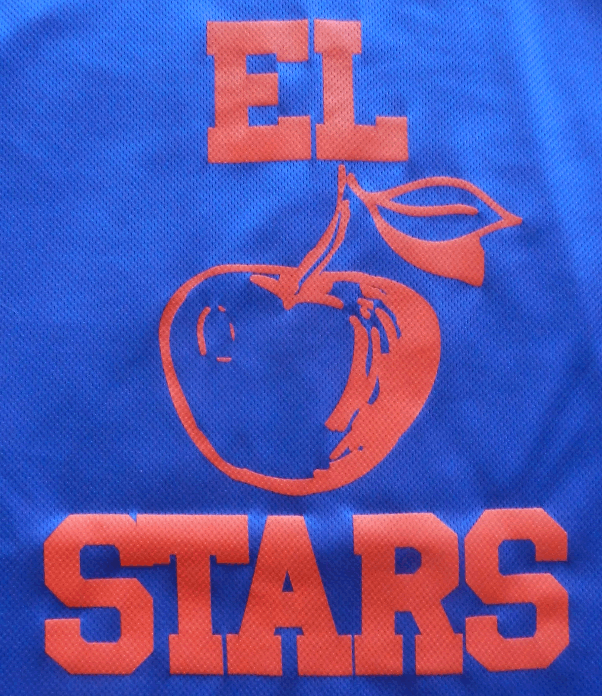 Elstars logo